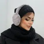 گوشگیر تدی تاشو
